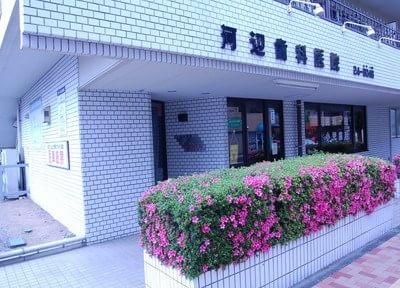 河辺歯科医院 河辺歯科医院