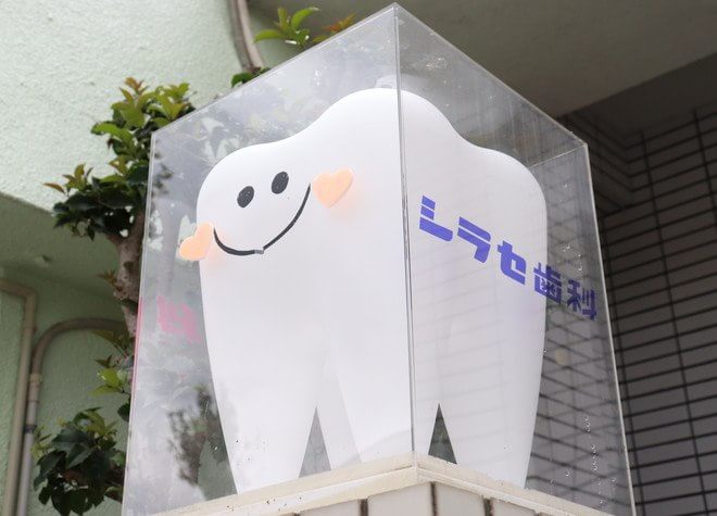 医療法人優美会 シラセ歯科 医療法人優美会 シラセ歯科