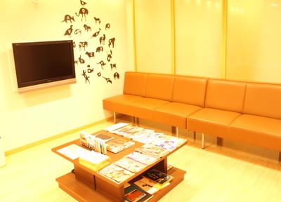 甲斐歯科医院 甲斐歯科医院