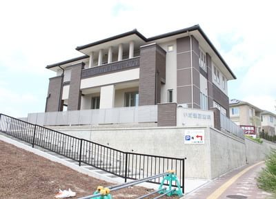 いだ矯正歯科 いだ矯正歯科